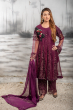 Carnation - BiaMuskan