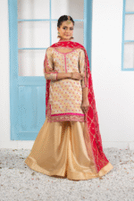 10004 - BiaMuskan (3)