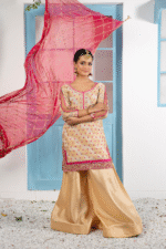 10004 - BiaMuskan (6)